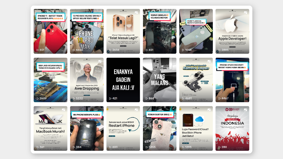 Reels Video/Video TikTok